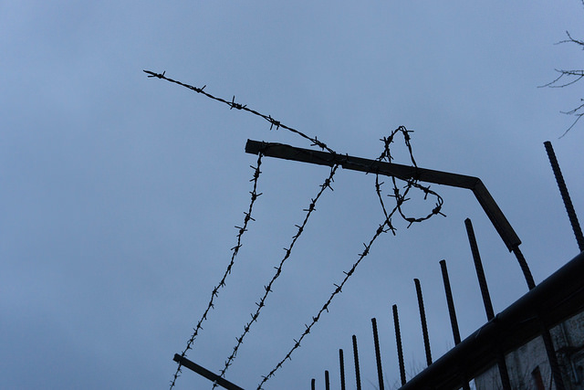 wire_fence_0