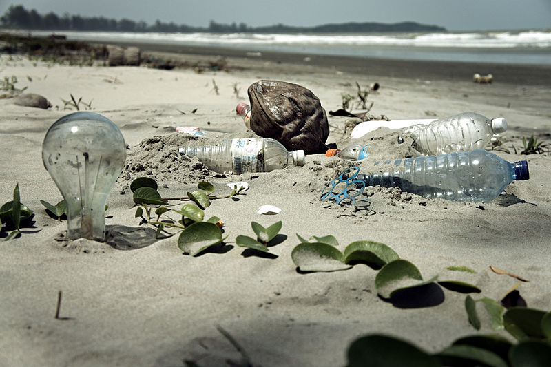 800px-water_pollution_with_trash_disposal_of_waste_at_the_garbage_beach