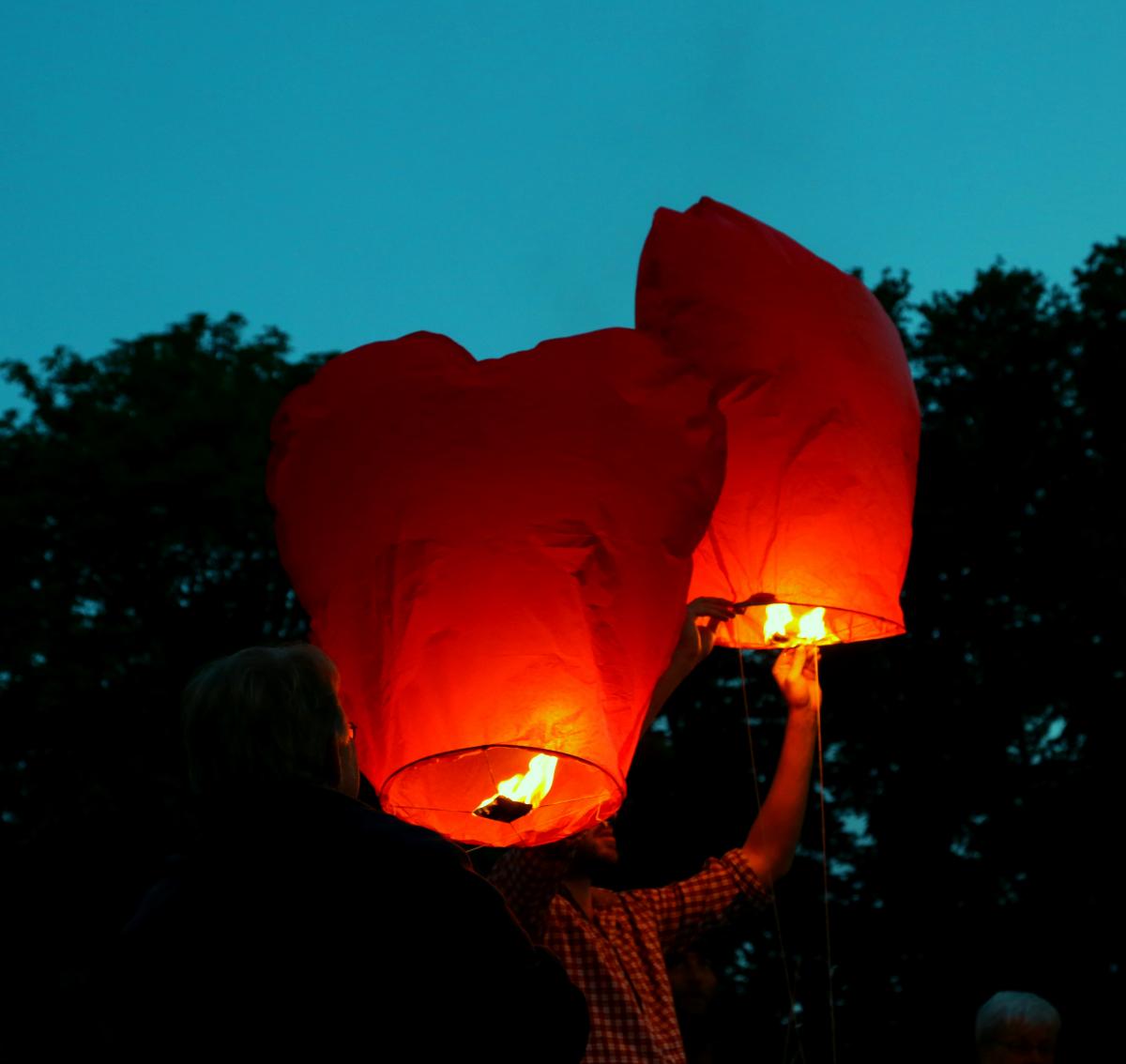 Council of Canadians protest the loss of the Health Accord at the Council of the