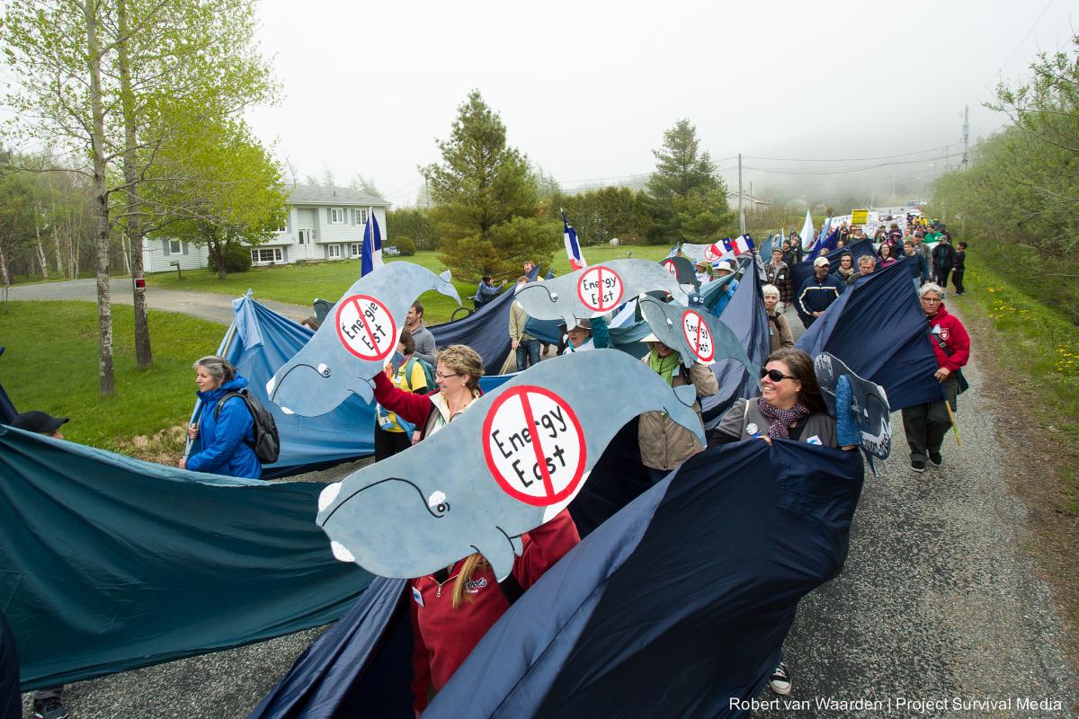 Photo: Council of Canadians blog