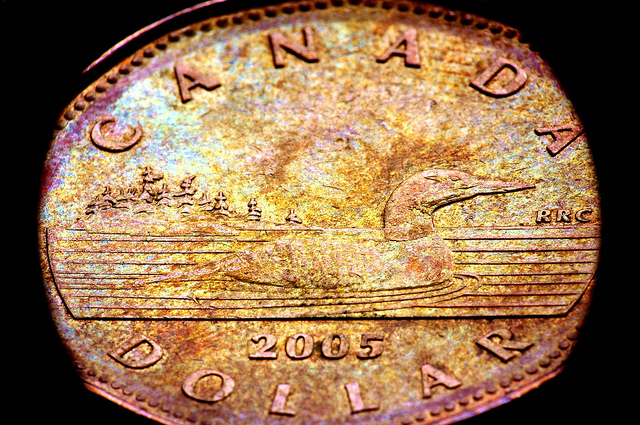 loonie_macro