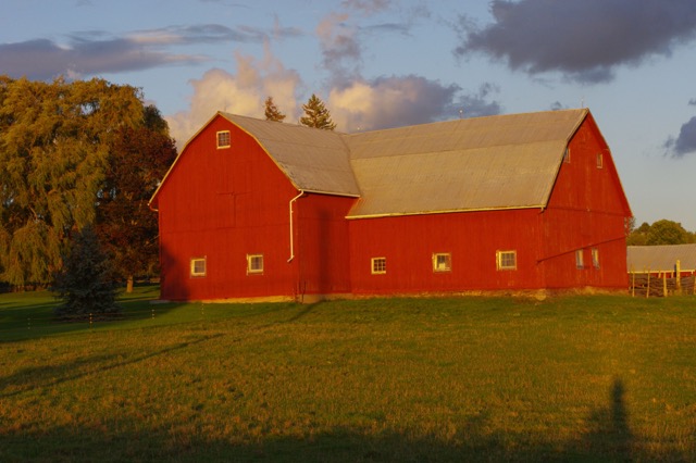 barn_photo_l_ross_rabble