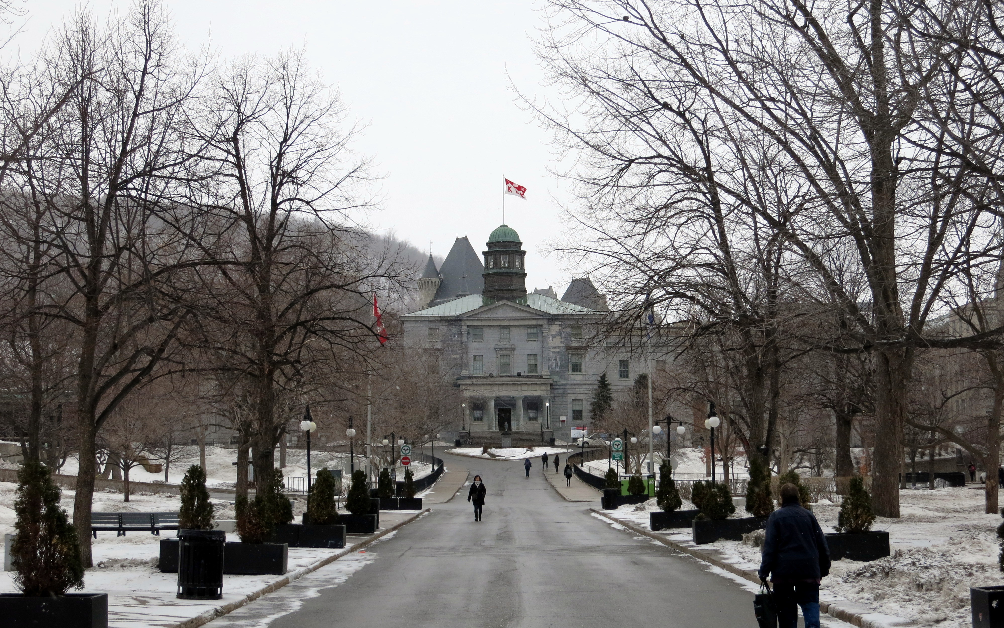 McGill University