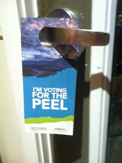 I'm Voting For The Peel - door hanger