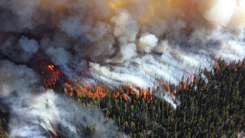 Image: Flickr/NPS Climate Change Response