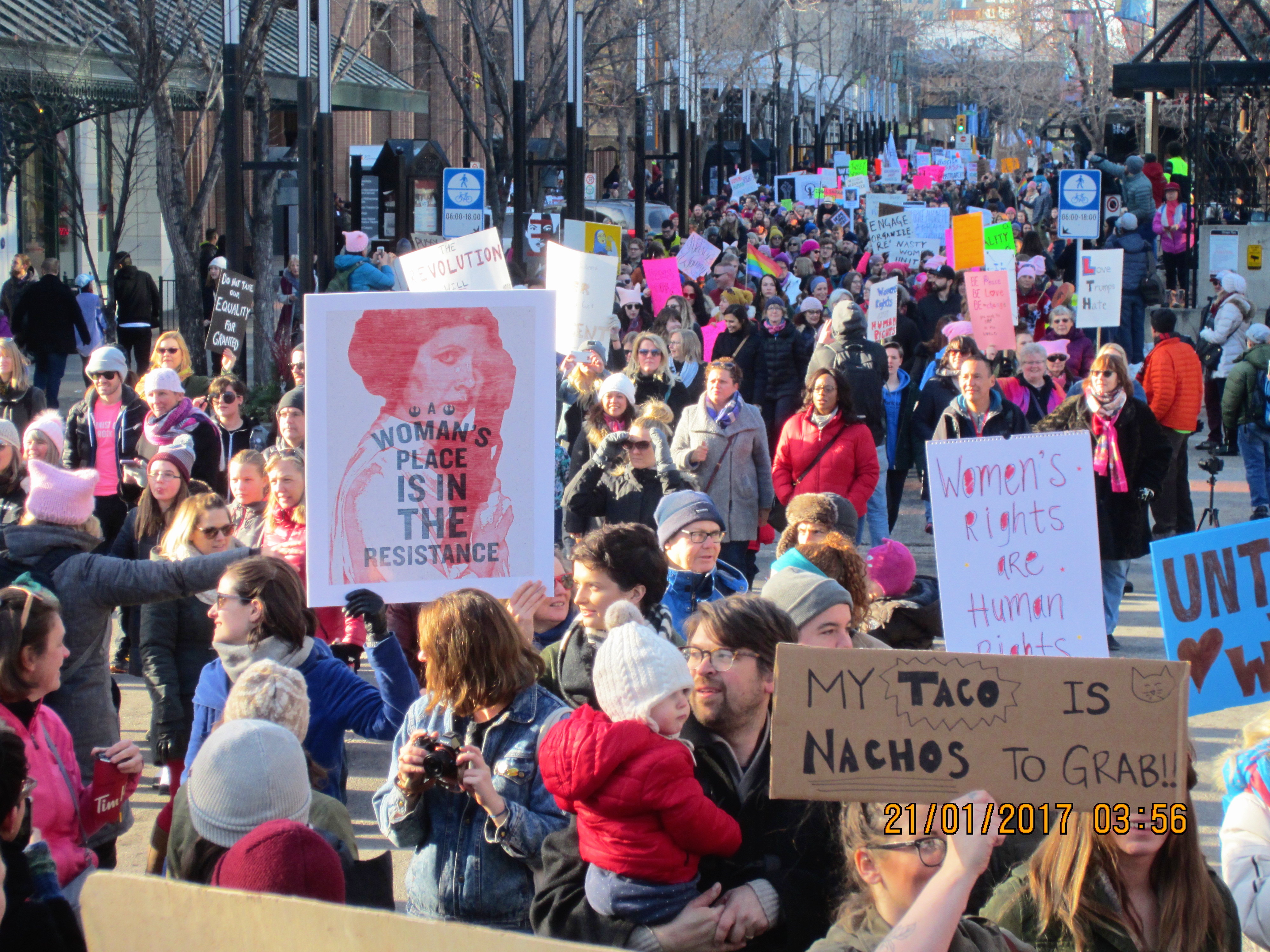 Women's March signs, A woman's place is in the resistance