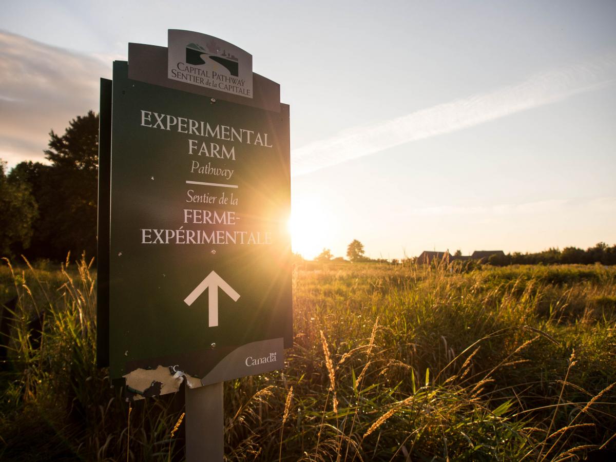 Central Experimental Farm credit Andrew Power