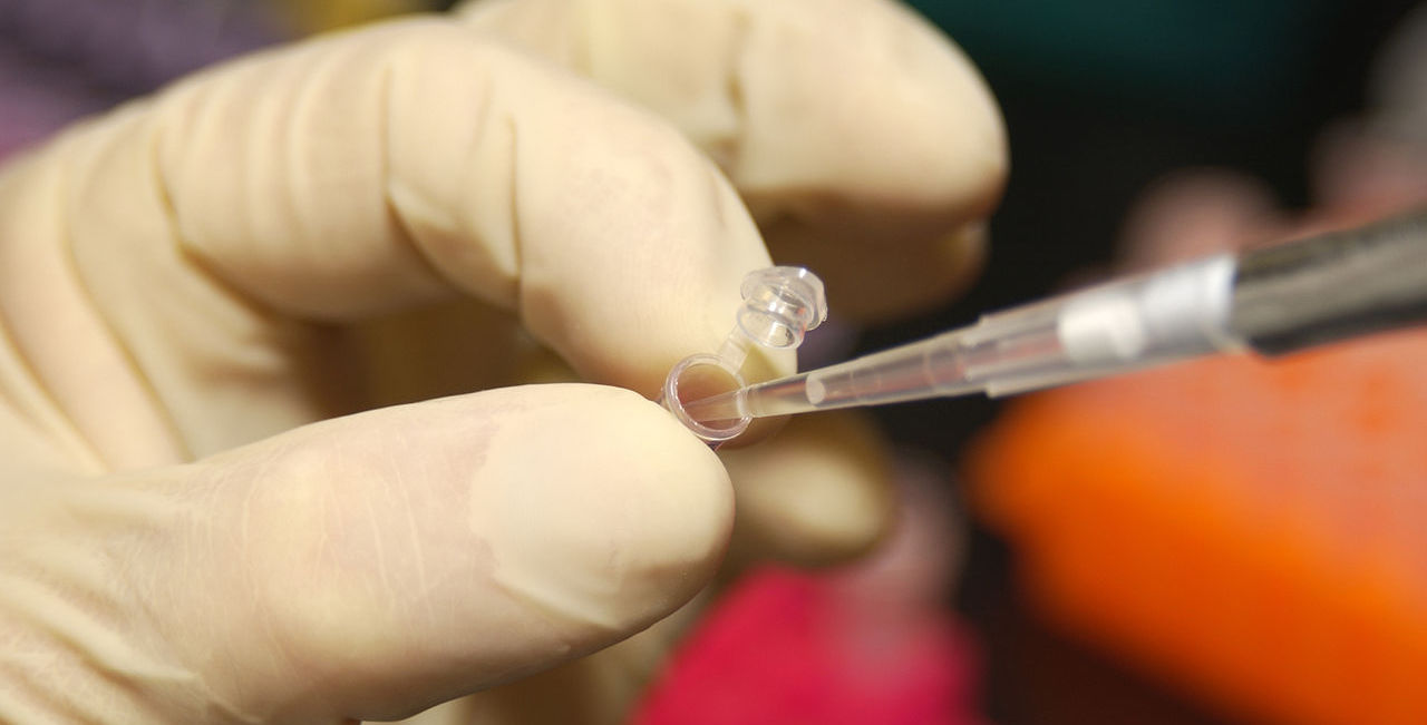 An NHGRI researcher uses a pipette to remove DNA from a micro test tube