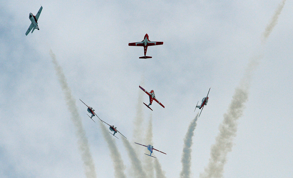 Snowbirds. Image: Wikimedia Commons/Frank Kovalchek