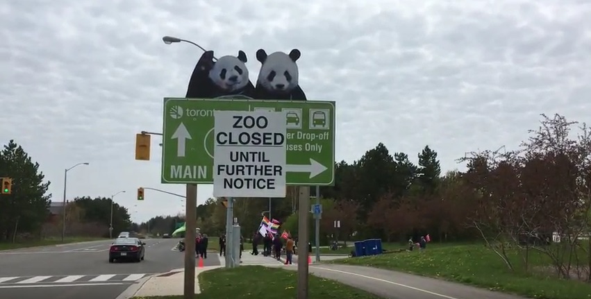 zoo closed screenshot