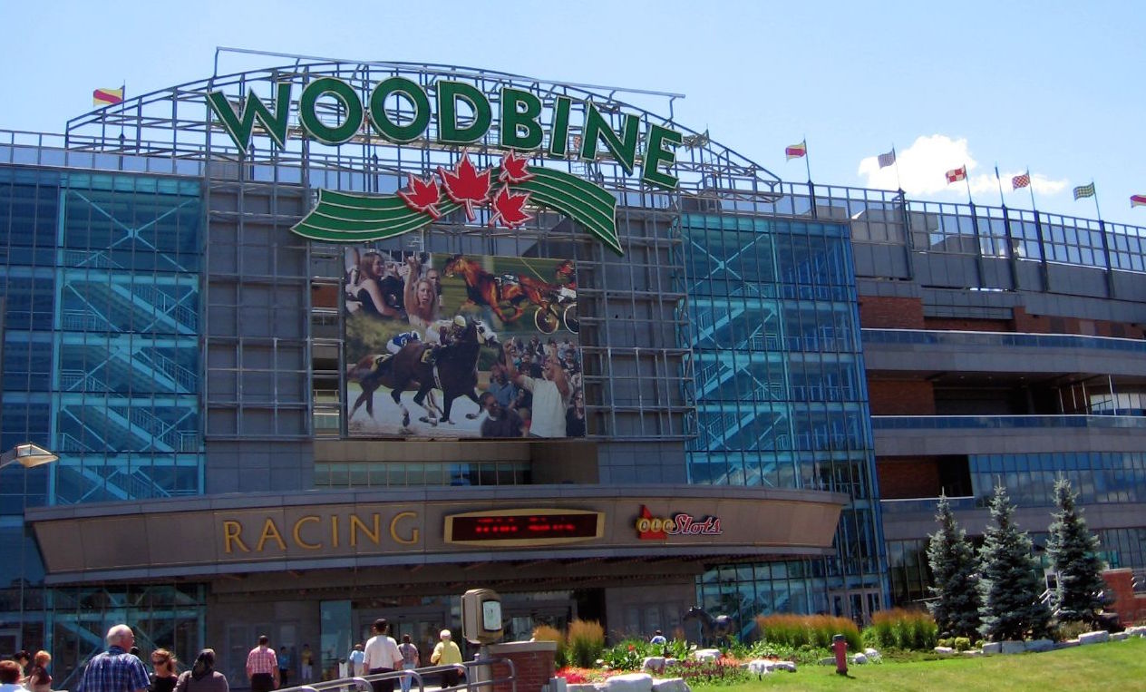 Woodbine. Photo: Oliver Mallich/flickr