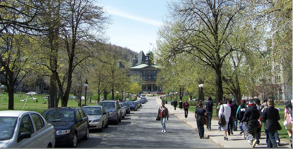 McGill University campus. Photo: Ken Chaplin