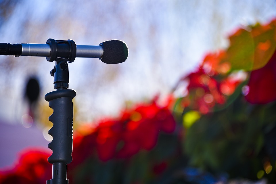 Christmas Microphone. Photo: Max Pixel