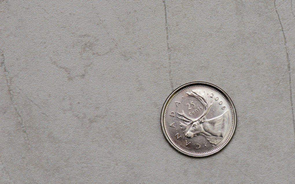 Canadian quarter. Photo: KMR Photography/flickr