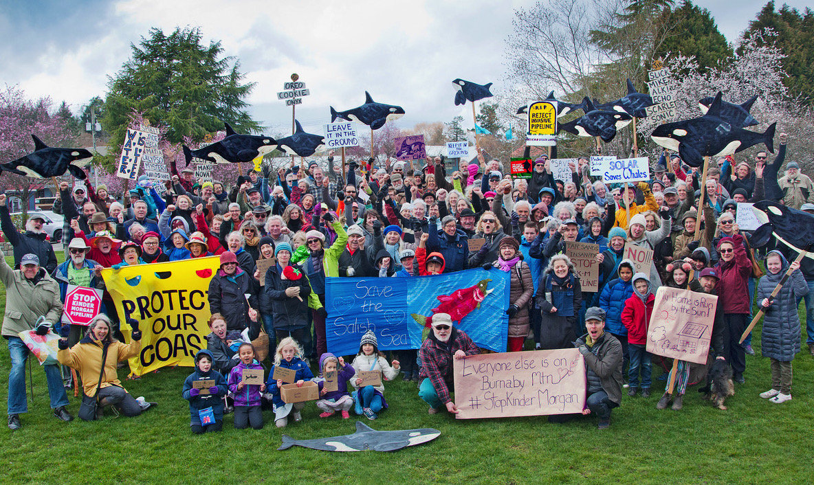 Crowd taking part in Salt Spring-Kinder Morgan action. Photo: Christina Marshall/Leadnow Canada/Flickr