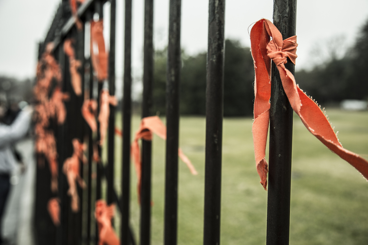 Ribbons at White House symbolizing opposition to torture. Photo: Justin Norman/flickr