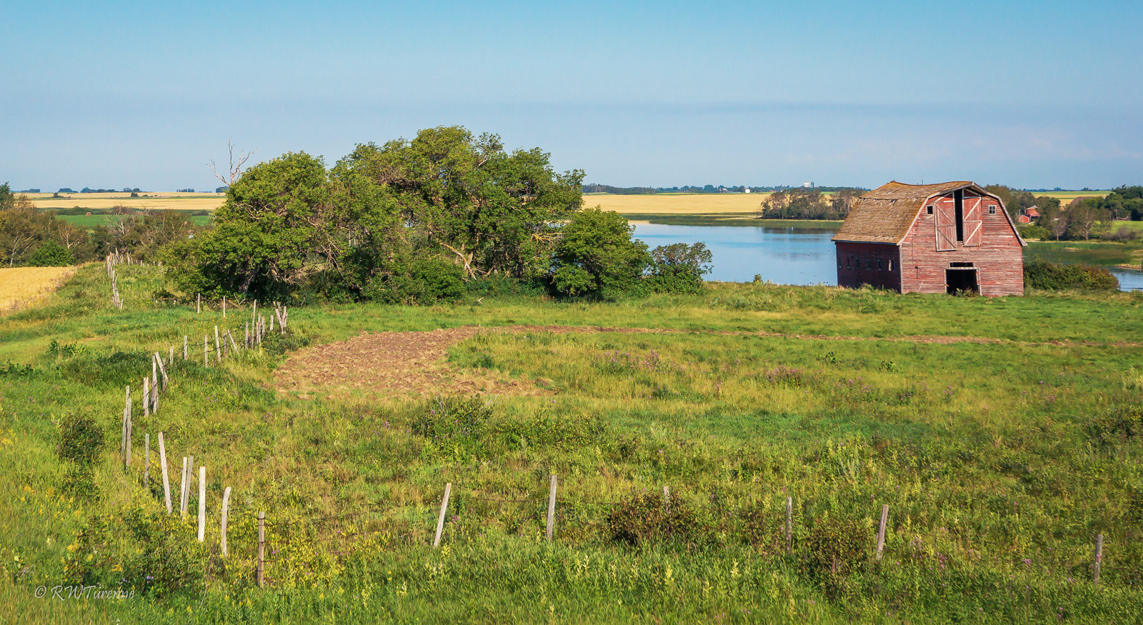 Pasture in Manitoba. Photo: Richard Turenne/Flickr