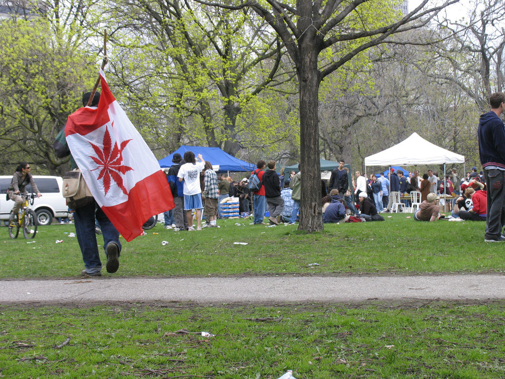 Man with cannabis flag. Photo: Linda Flores/Flickr