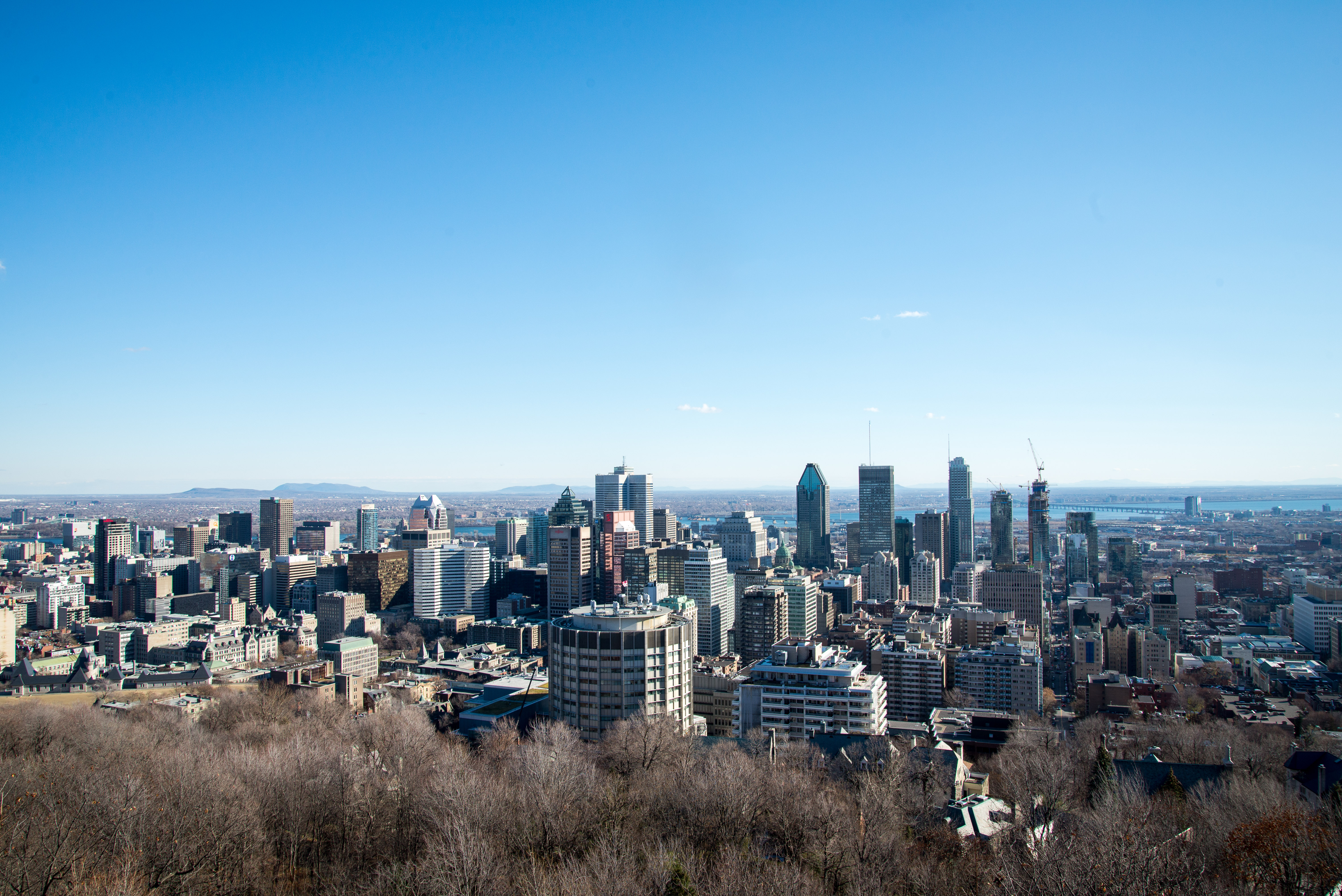 Looking down at Montreal from Mount Royal. Photo: Corey Templeton/Flickr