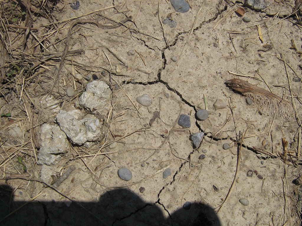 Dry, cracked ground. Photo: Trenna S/Flickr