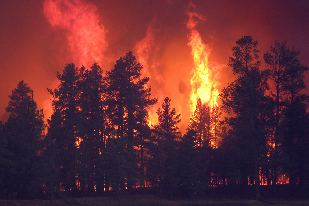 Scene from Birdie Fire in Coconino National Forest. Photo: Heather Provencio/U.S. Forest Service, Coconino National Forest/Flickr