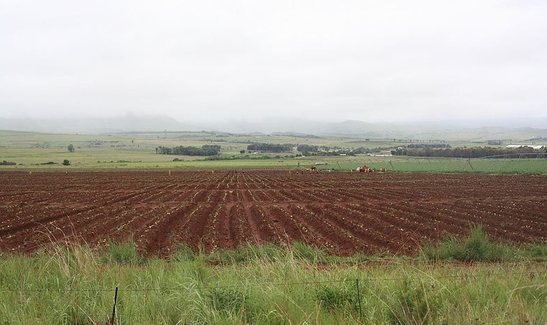 A farm in Mpumalanga, South Africa. Photo by PZFUN via Wikimedia Commons.