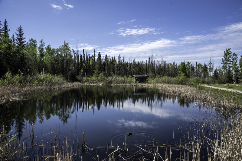 Labeled for reuse https://www.goodfreephotos.com/albums/canada/northwest-territories/other/pond-landscape-at-the-welcoming-center-northwest-territories.jpg