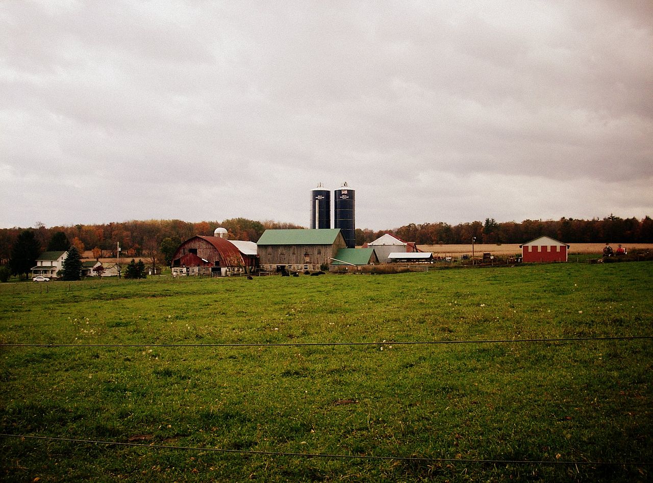 Family farm. Photo: Gerry Dincher/Wikimedia Commons