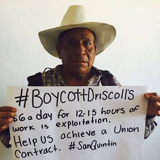 Image Credit: Boycott Driscoll's https://www.facebook.com/BoycottDriscolls/