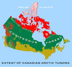 Image Credit: Wikimedia, https://en.wikipedia.org/wiki/Canadian_Arctic_tundra#/media/File:Canadian_tundra_1.jpg