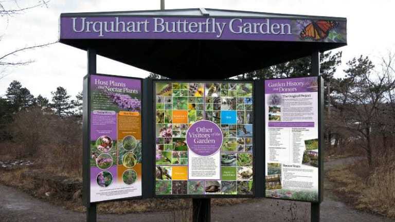 The-Urquhart-Butterfly-Garden