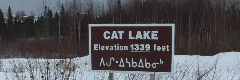 cat-lake