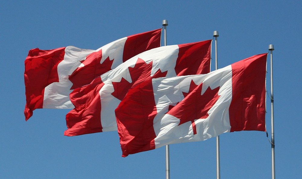 Canadian flags. Photo: vtgard/Flickr