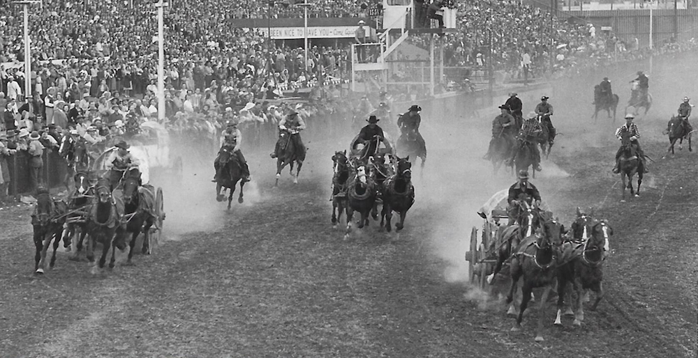 The chuckwagon races at the "Greatest Outdoor Show on Earth" back in the day. Photo: Calgary Stampede