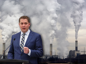 Scheer-Environment-300