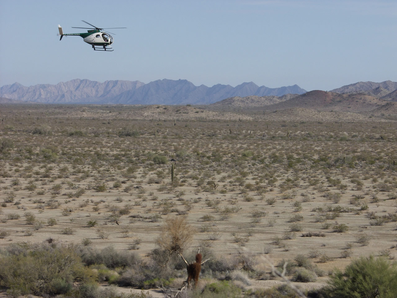 Border Patrol helicopter above the Camino del Diablo near the U.S.-Mexico border. Image: Dan Sorensen Photography/Flickr