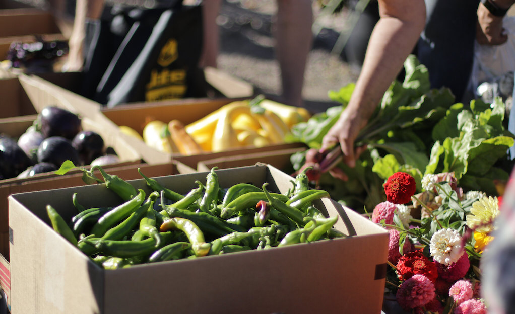 Vegetables from a community garden. Image: viquee1/Flickr