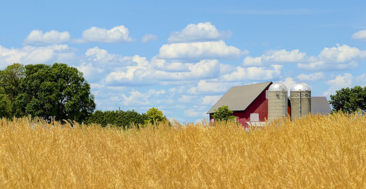 Central Experimental Farm in Ottawa. Image: Jamie McCaffrey/Flickr