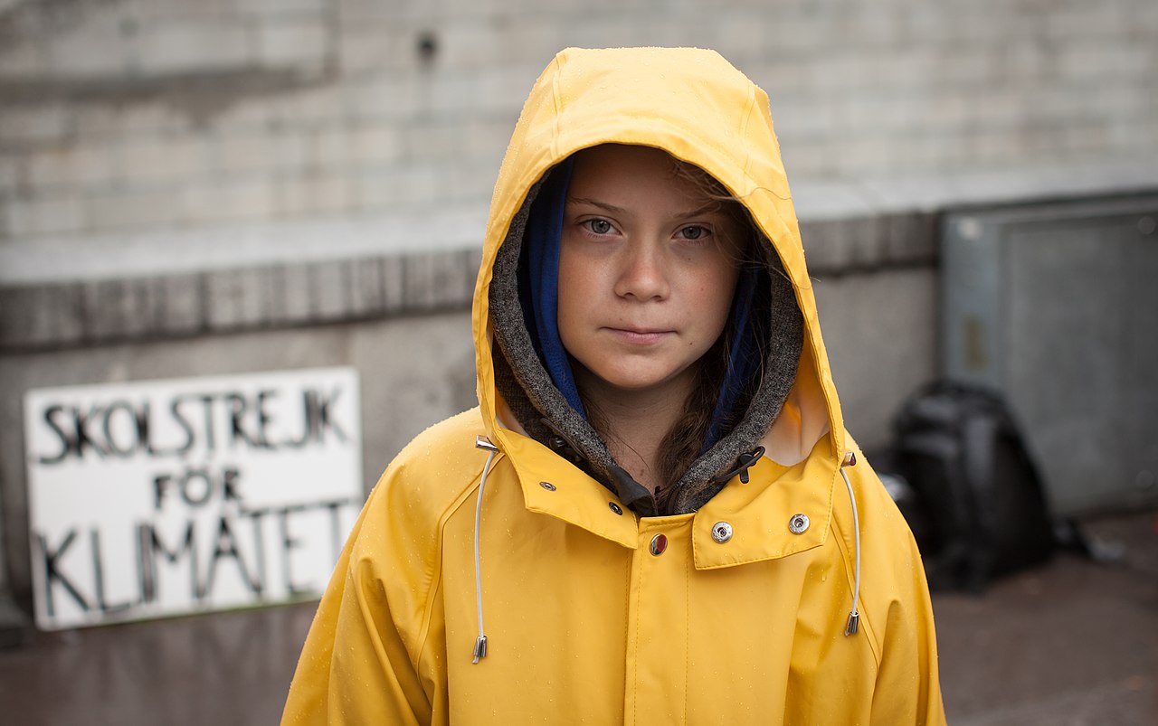 Swedish environmental activist Greta Thunberg. Image: Anders Hellberg/Wikimedia Commons