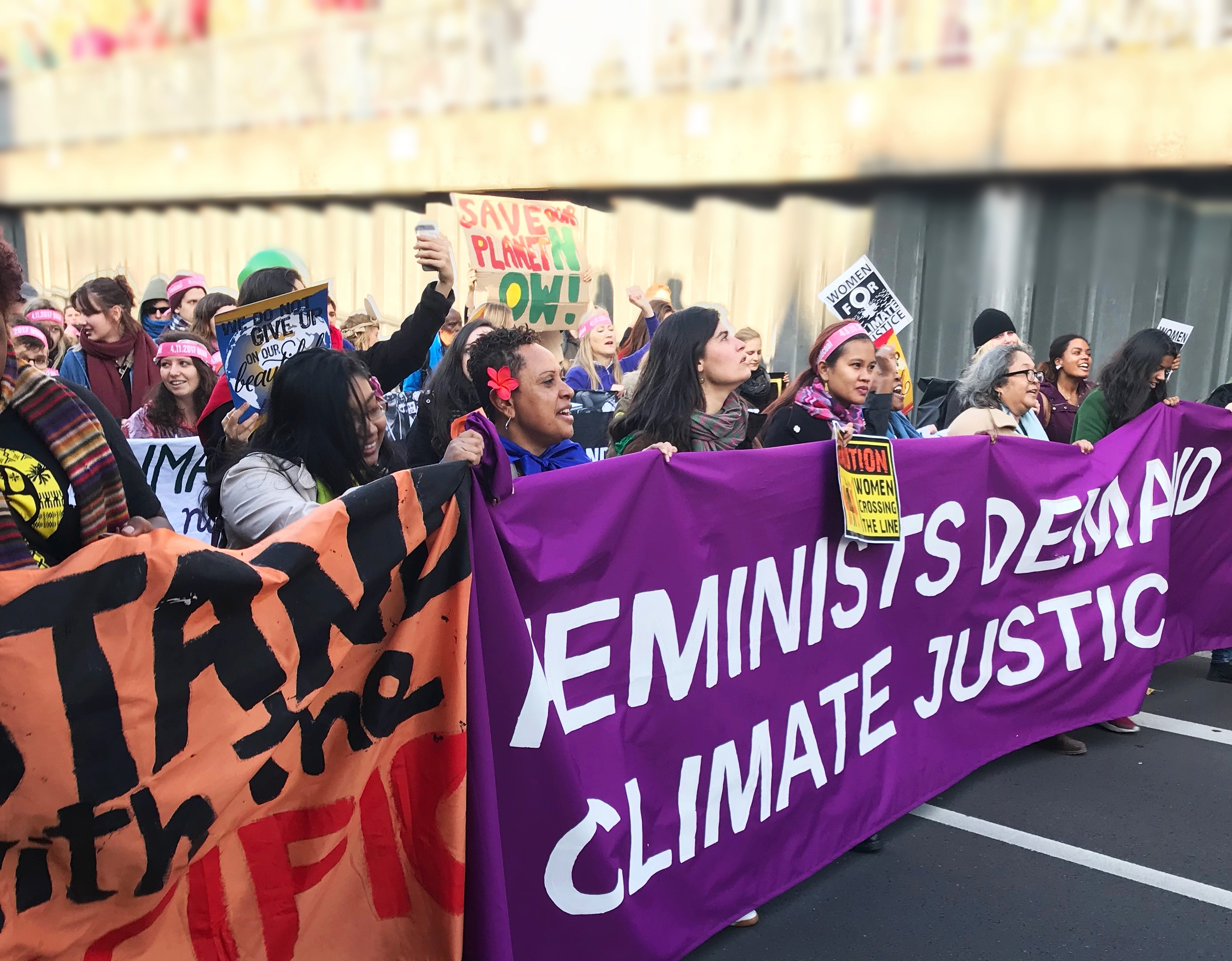 Image Credit: Feminist Green New Deal http://feministgreennewdeal.com/