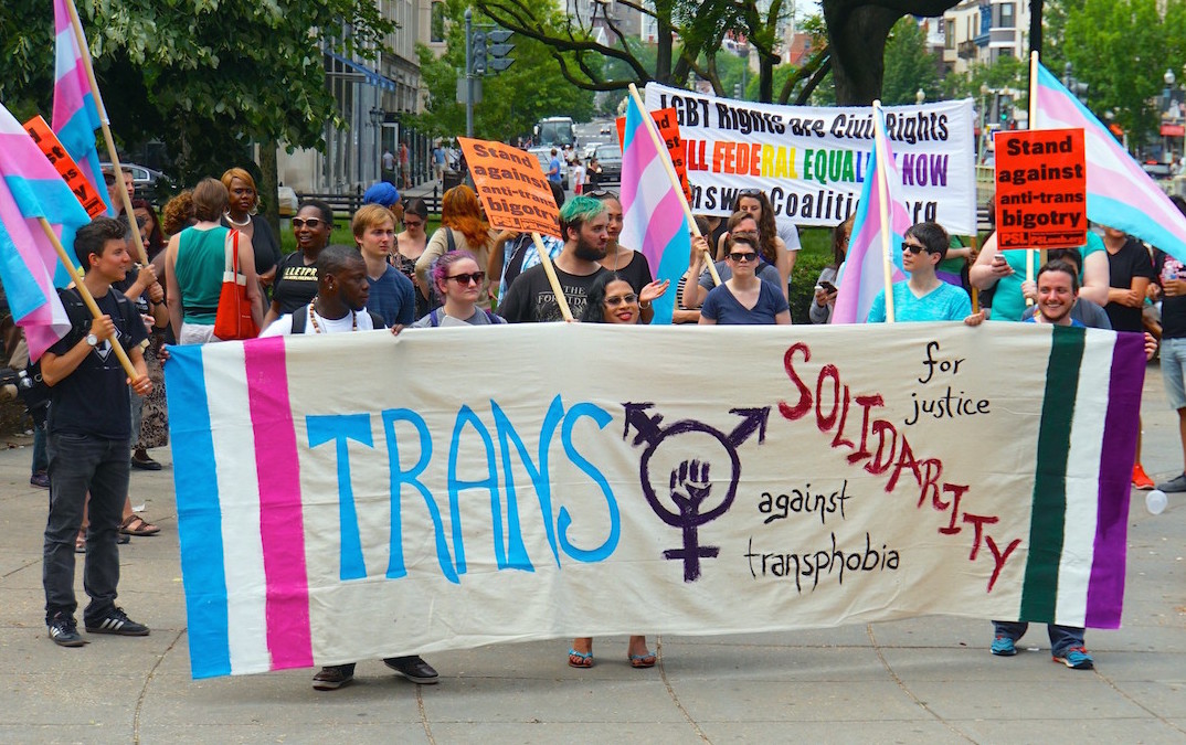 Trans solidarity rally and march in Washington, D.C. Image: Ted Eytan/Flickr