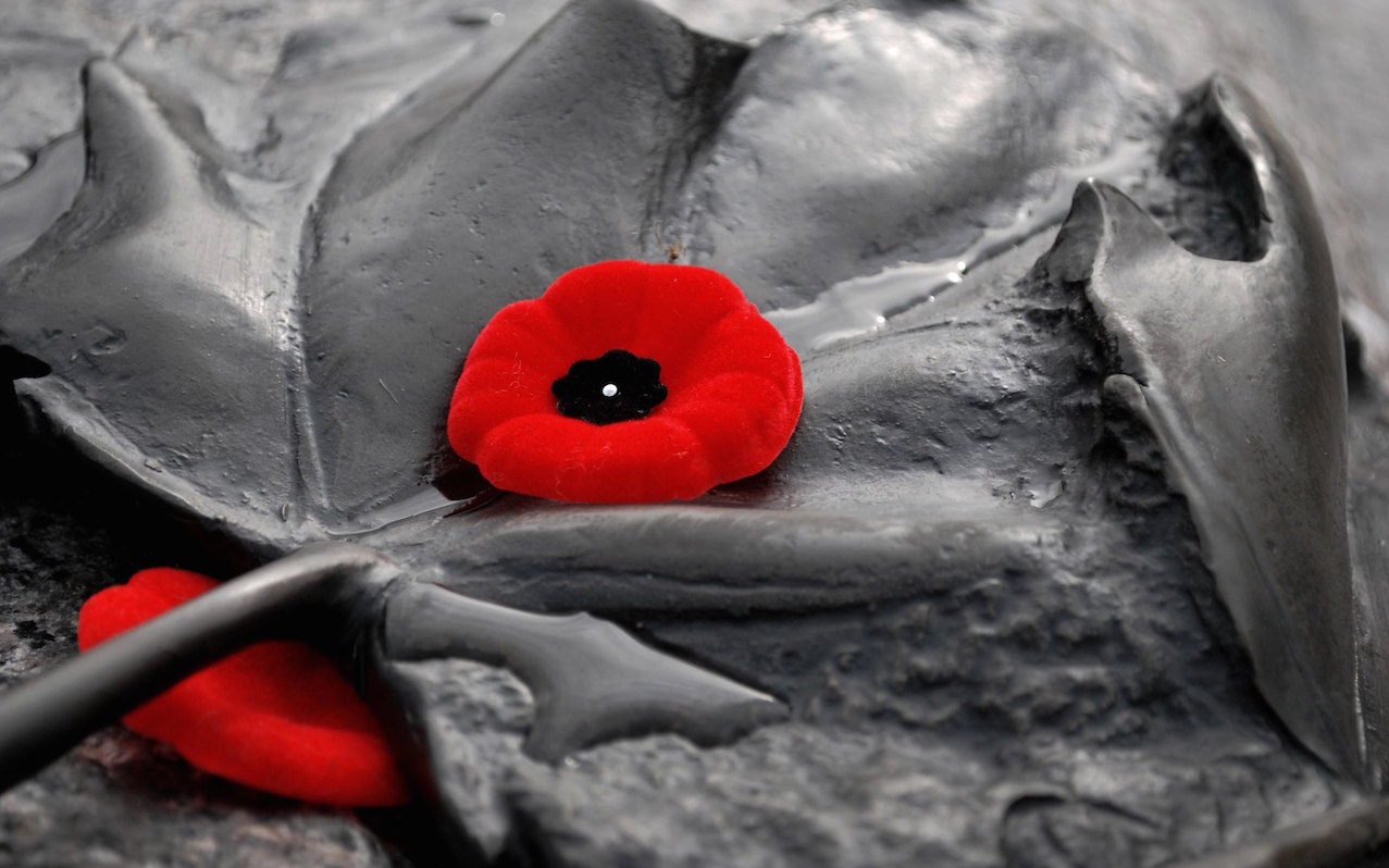 Poppies on the Tomb of the Unknown Soldier in Ottawa. Image: Tjololo Photo/Flickr