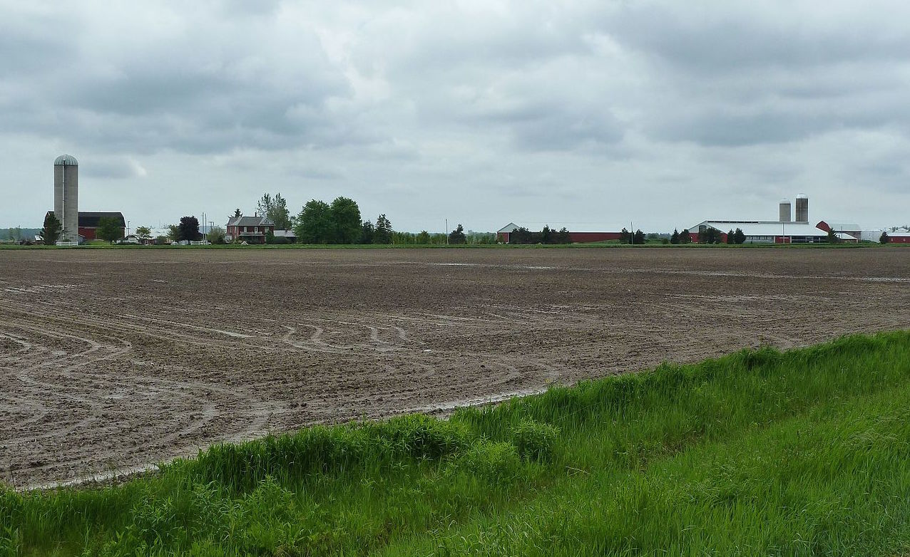 Farmland in Malahide, Ontario. Image: Peter Giesbrecht/Wikimedia Commons