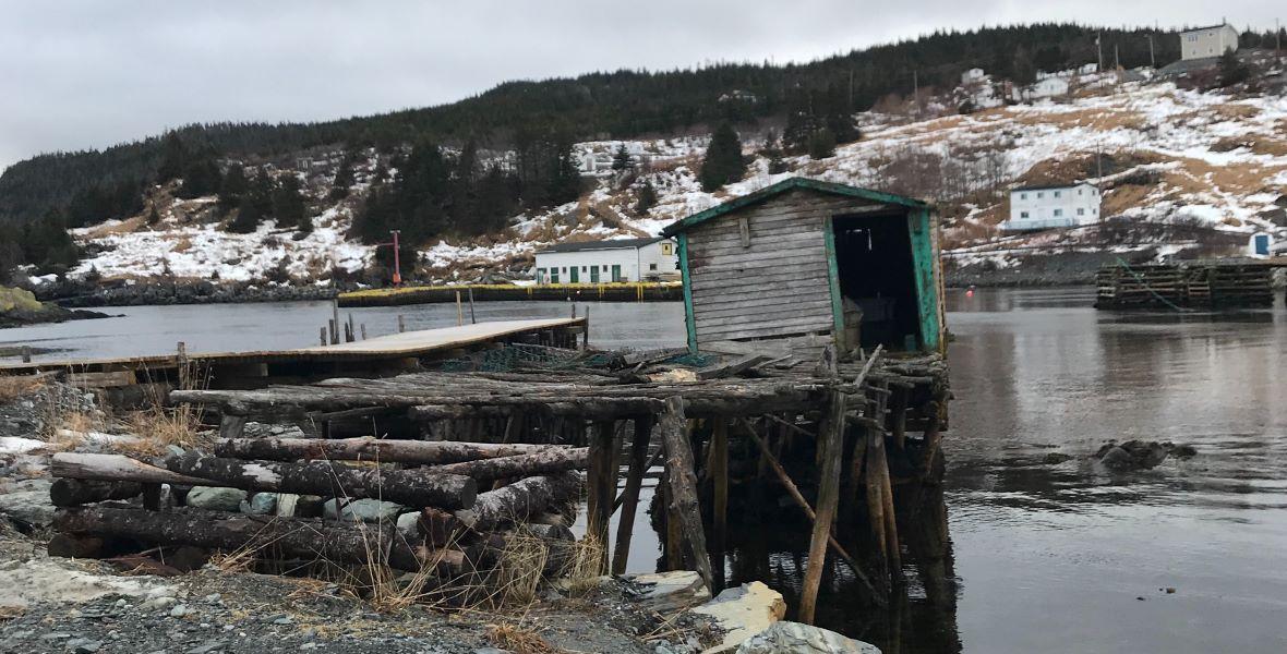 View of dock in Cape Broyle, NL. Image: Terrilynn Lushman/Unsplash