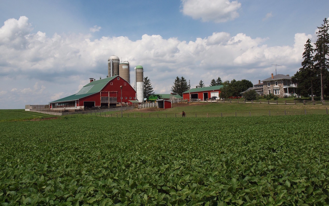 Farm in Ontario. Image: Anita/Flickr