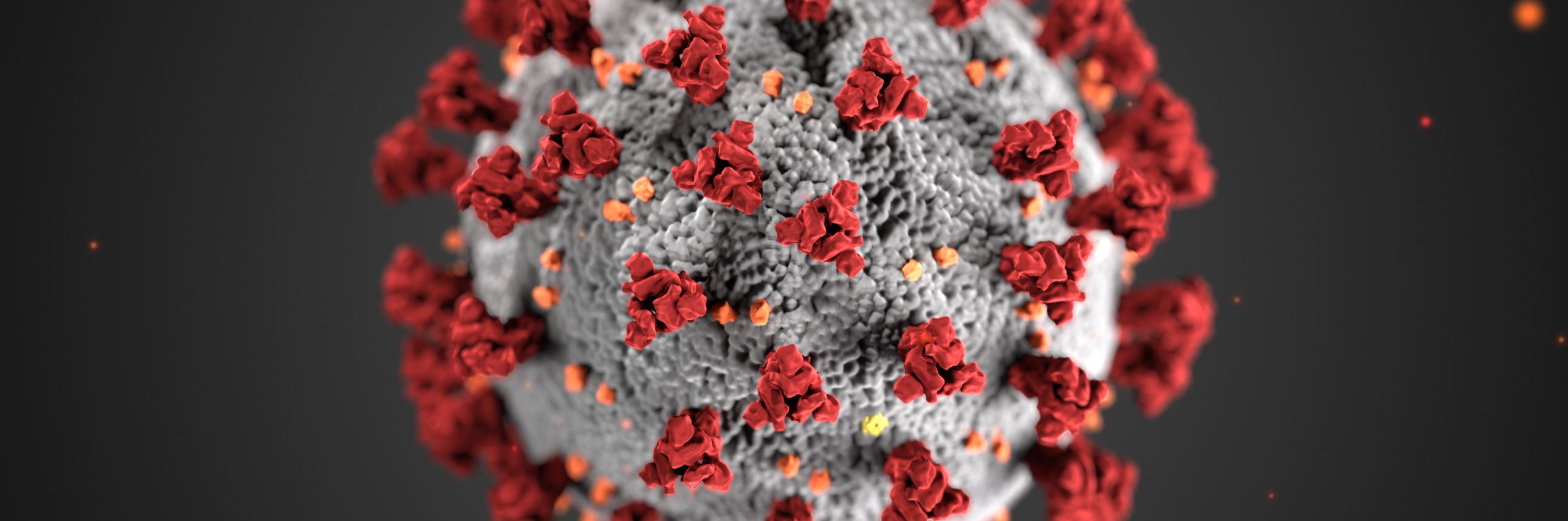 Coronavirus. Image: Centers for Disease Control