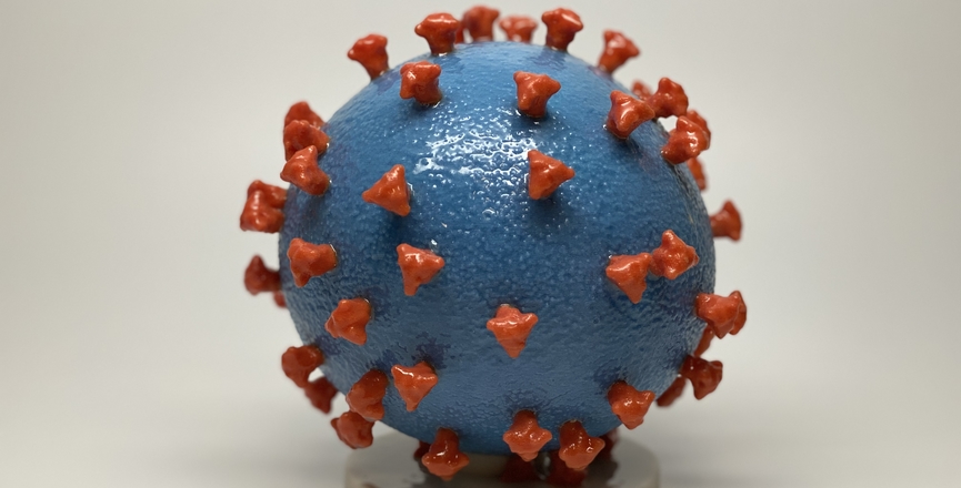 3D print of a SARS-CoV-2 -- also known as 2019-nCoV, the virus that causes COVID-19 -- virus particle. Image: NIAID/Flickr