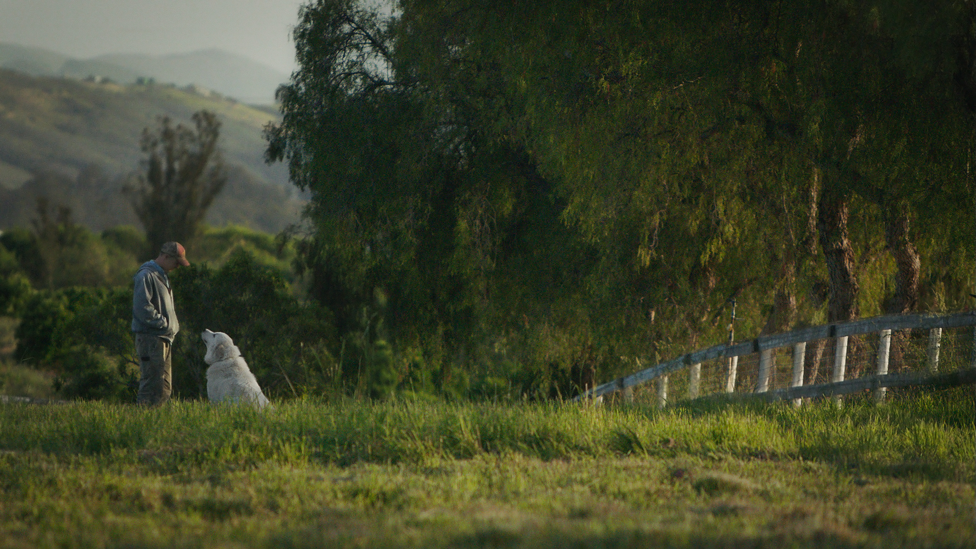 Image: Still from Biggest Little Farm