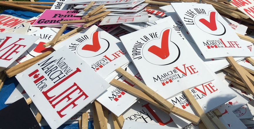 A pile of anti-choice placards at the 2016 March for Life in Ottawa. Image: Ross Dunn/Flickr