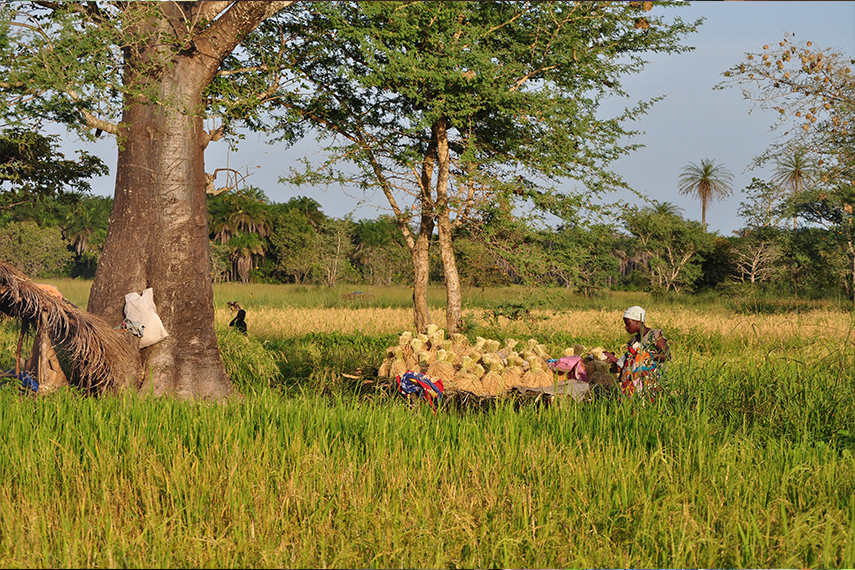 food_sovereignty_credit_tiniguena_855x570_0